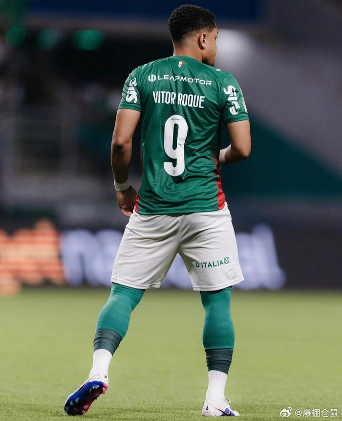 帕尔梅拉斯前锋罗克重伤需手术 世界杯征程提前